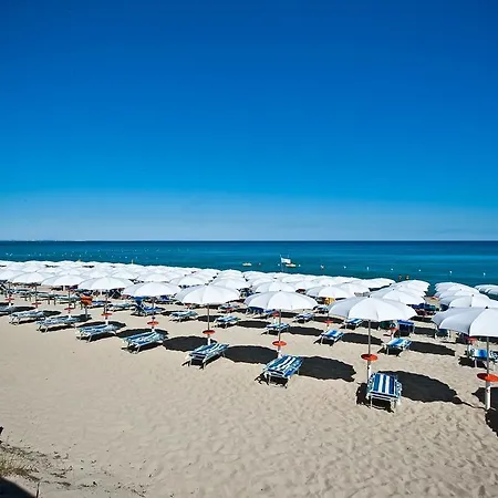 Ticho's Greenblu 4*